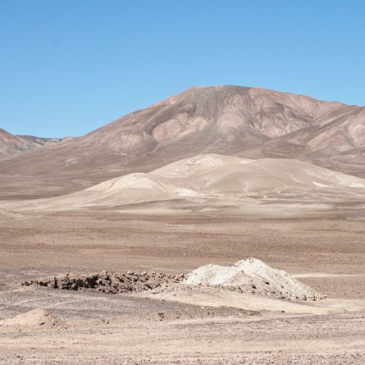 Fiore Exploration Identifies New Drill Targets at Pampas El Peñon Project