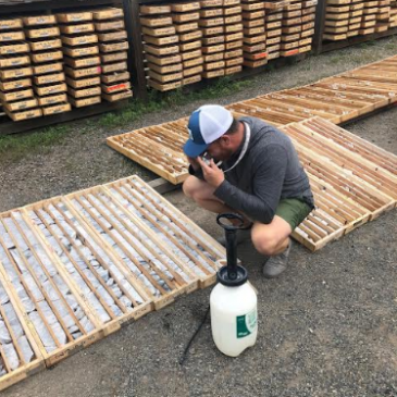 Westhaven Hits Broad High-Grade Gold Intersection, Multiple Bonanza-Grade Gold Intersections At Shovelnose