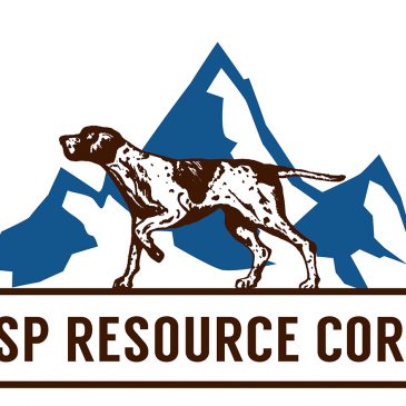 GSP Resource Corp. Completes 3D Model of Alwin Mine